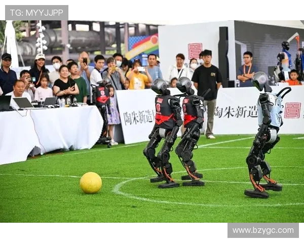 足球赛事中的观众文化与赛事体验